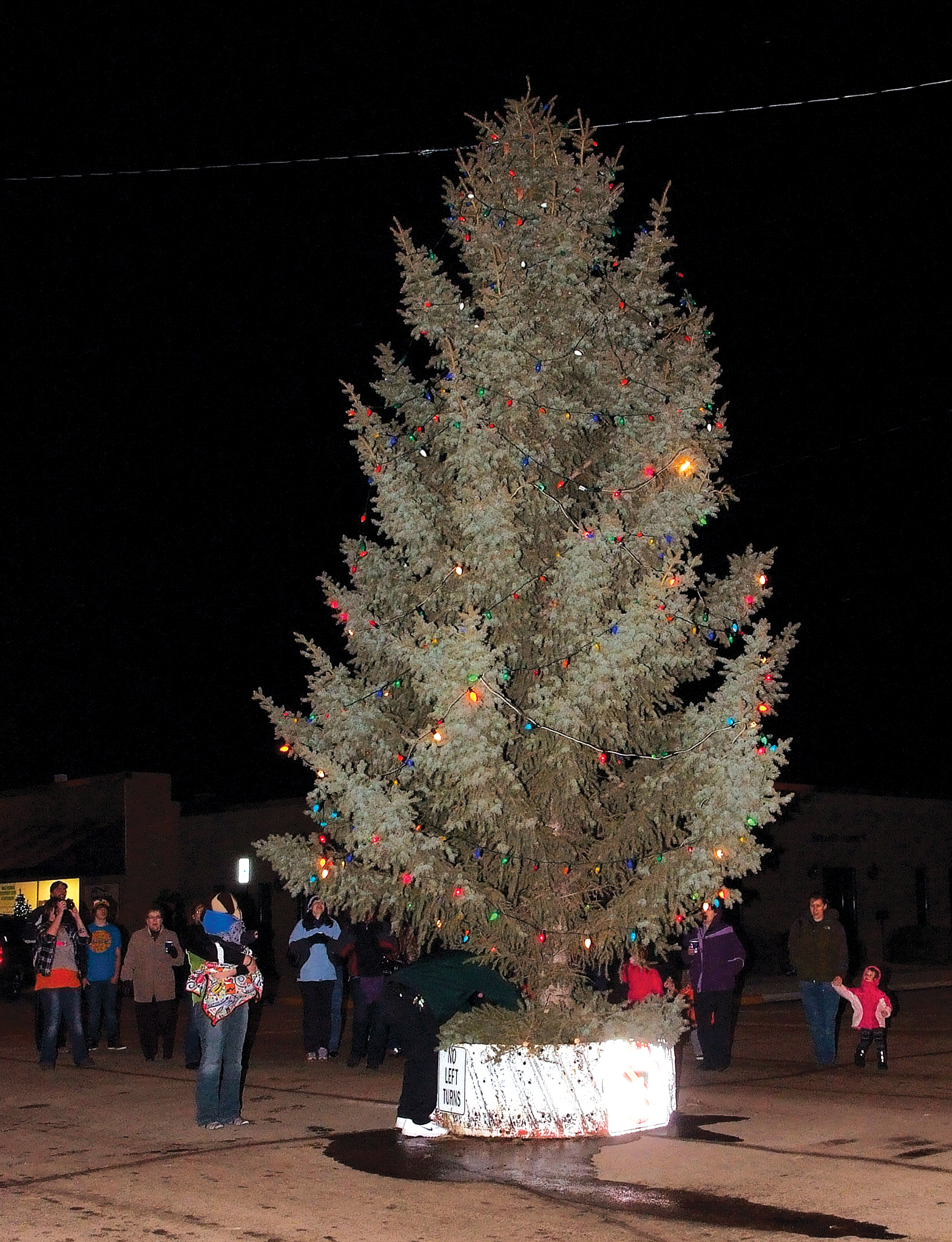 Christmas_Tree_Lighting_V.jpg Image