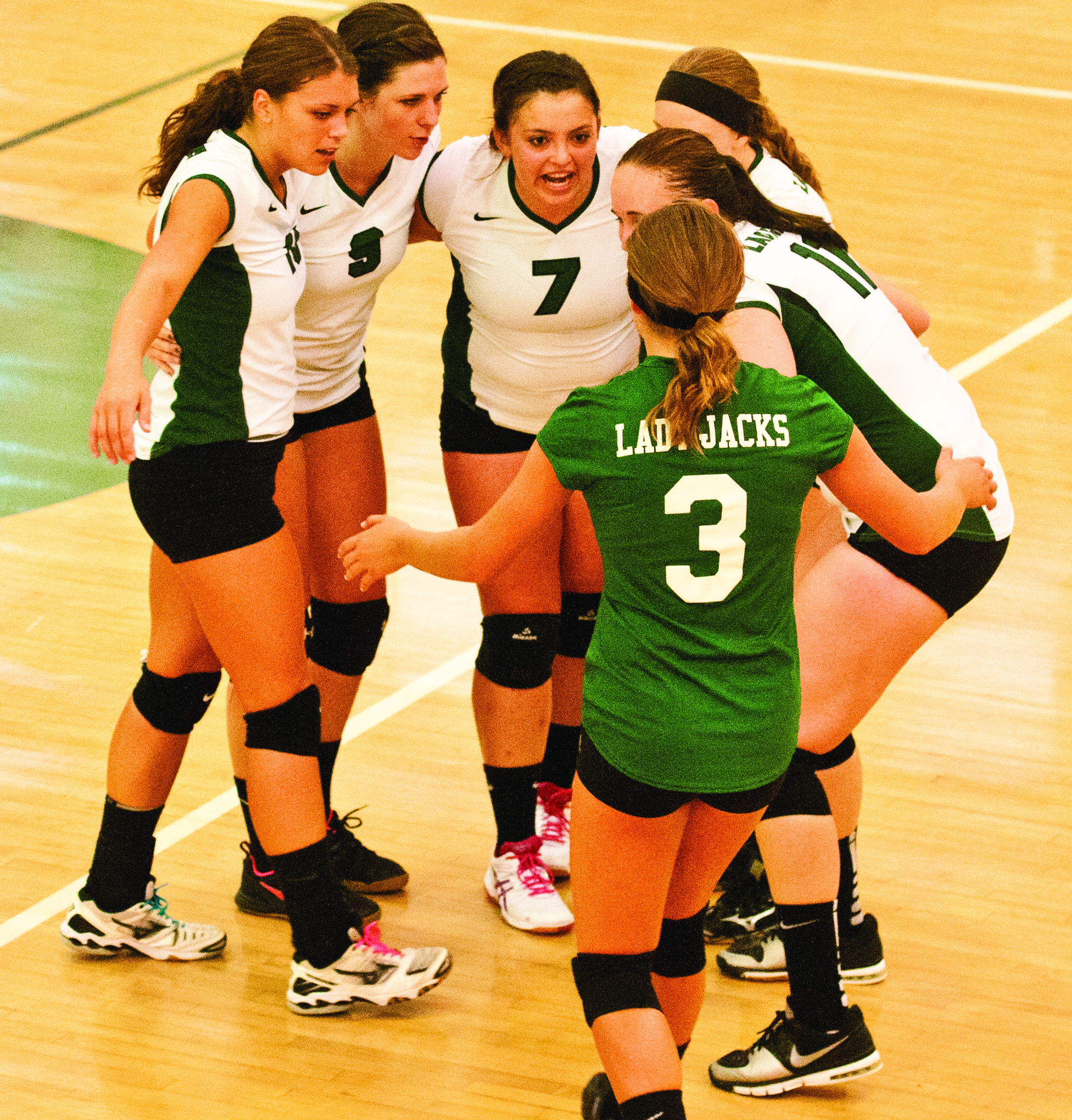dcbvb_5.jpg Image