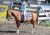 DSC_7468.jpg Image