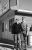 redwingdineroppen.jpg Image