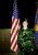 scan0046.jpg Image